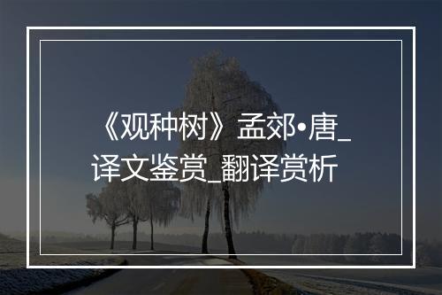 《观种树》孟郊•唐_译文鉴赏_翻译赏析