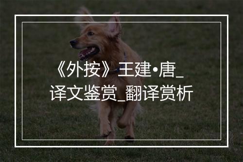 《外按》王建•唐_译文鉴赏_翻译赏析