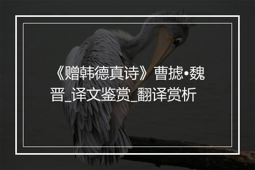 《赠韩德真诗》曹摅•魏晋_译文鉴赏_翻译赏析