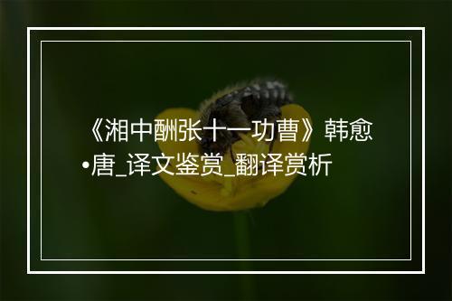 《湘中酬张十一功曹》韩愈•唐_译文鉴赏_翻译赏析