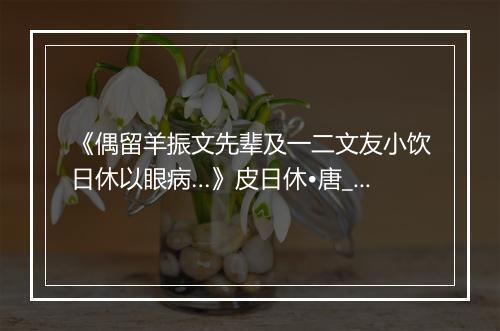 《偶留羊振文先辈及一二文友小饮日休以眼病…》皮日休•唐_译文鉴赏_翻译赏析