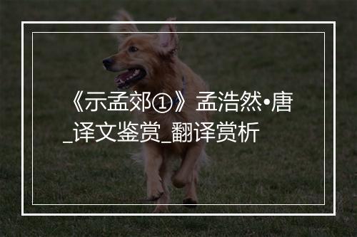 《示孟郊①》孟浩然•唐_译文鉴赏_翻译赏析