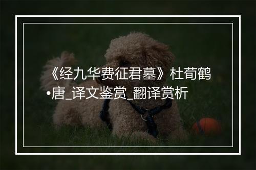 《经九华费征君墓》杜荀鹤•唐_译文鉴赏_翻译赏析