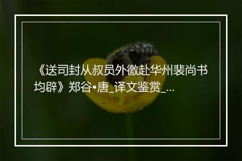 《送司封从叔员外徼赴华州裴尚书均辟》郑谷•唐_译文鉴赏_翻译赏析