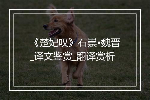 《楚妃叹》石崇•魏晋_译文鉴赏_翻译赏析