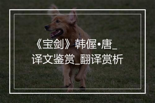 《宝剑》韩偓•唐_译文鉴赏_翻译赏析