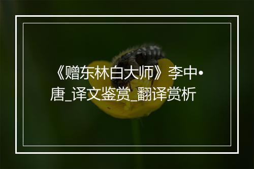 《赠东林白大师》李中•唐_译文鉴赏_翻译赏析