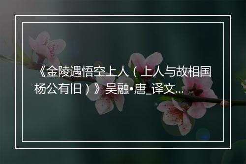 《金陵遇悟空上人（上人与故相国杨公有旧）》吴融•唐_译文鉴赏_翻译赏析