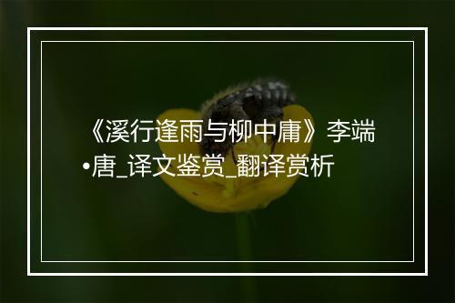 《溪行逢雨与柳中庸》李端•唐_译文鉴赏_翻译赏析