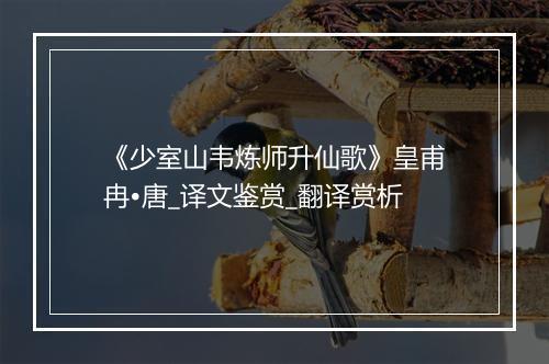 《少室山韦炼师升仙歌》皇甫冉•唐_译文鉴赏_翻译赏析