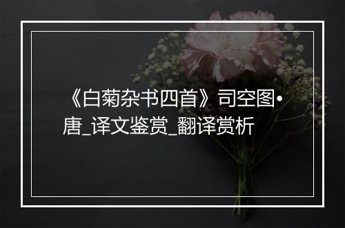 《白菊杂书四首》司空图•唐_译文鉴赏_翻译赏析