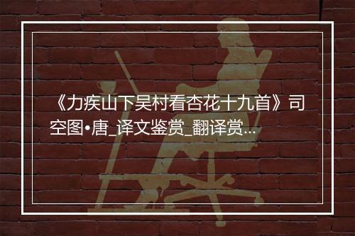 《力疾山下吴村看杏花十九首》司空图•唐_译文鉴赏_翻译赏析