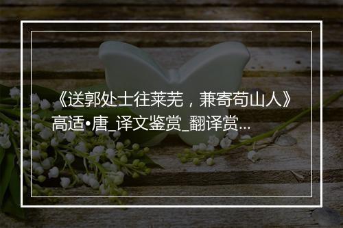 《送郭处士往莱芜，兼寄苟山人》高适•唐_译文鉴赏_翻译赏析