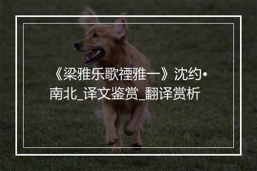 《梁雅乐歌禋雅一》沈约•南北_译文鉴赏_翻译赏析