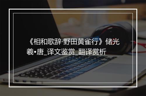 《相和歌辞·野田黄雀行》储光羲•唐_译文鉴赏_翻译赏析