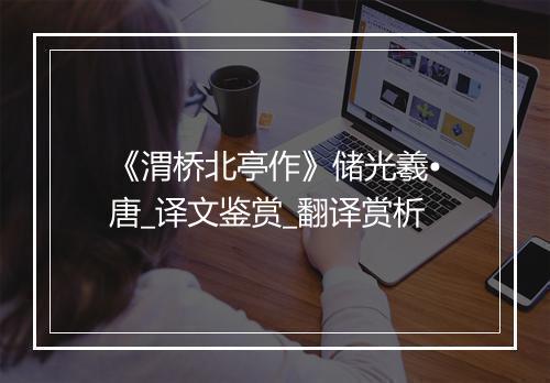 《渭桥北亭作》储光羲•唐_译文鉴赏_翻译赏析