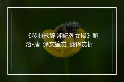 《琴曲歌辞·湘妃列女操》鲍溶•唐_译文鉴赏_翻译赏析