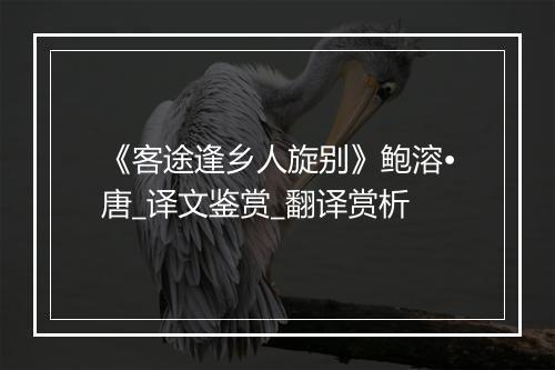 《客途逢乡人旋别》鲍溶•唐_译文鉴赏_翻译赏析