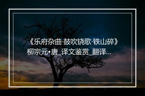 《乐府杂曲·鼓吹铙歌·铁山碎》柳宗元•唐_译文鉴赏_翻译赏析