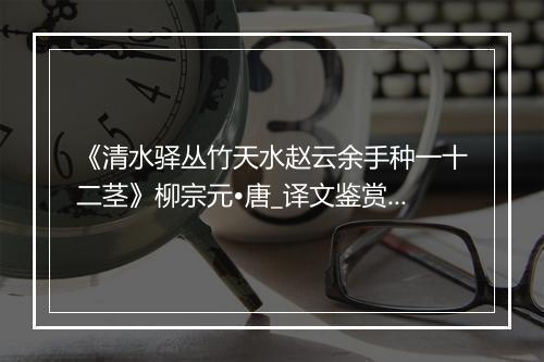 《清水驿丛竹天水赵云余手种一十二茎》柳宗元•唐_译文鉴赏_翻译赏析