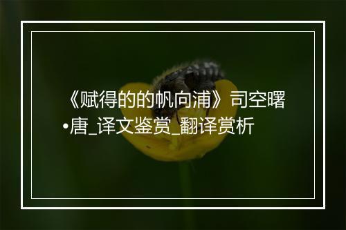 《赋得的的帆向浦》司空曙•唐_译文鉴赏_翻译赏析