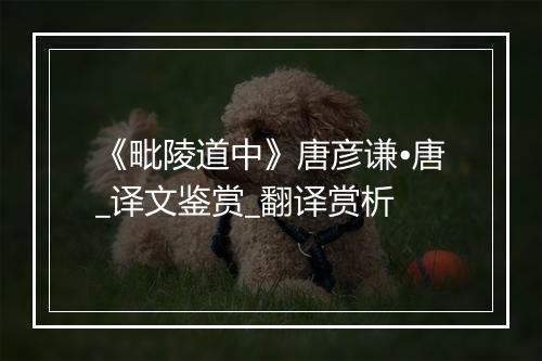 《毗陵道中》唐彦谦•唐_译文鉴赏_翻译赏析