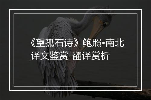 《望孤石诗》鲍照•南北_译文鉴赏_翻译赏析