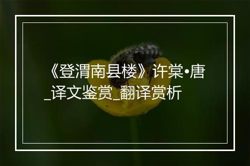 《登渭南县楼》许棠•唐_译文鉴赏_翻译赏析