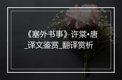 《塞外书事》许棠•唐_译文鉴赏_翻译赏析