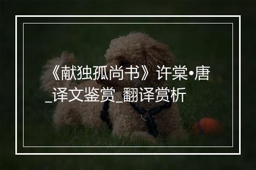 《献独孤尚书》许棠•唐_译文鉴赏_翻译赏析