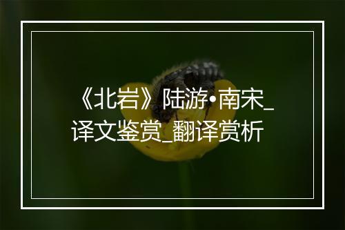 《北岩》陆游•南宋_译文鉴赏_翻译赏析