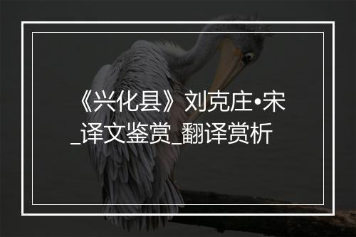 《兴化县》刘克庄•宋_译文鉴赏_翻译赏析