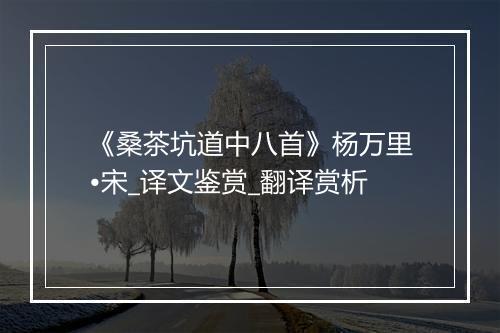 《桑茶坑道中八首》杨万里•宋_译文鉴赏_翻译赏析