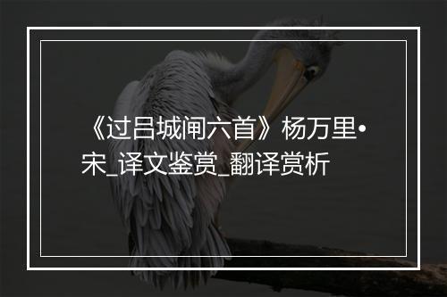 《过吕城闸六首》杨万里•宋_译文鉴赏_翻译赏析