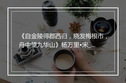 《自金陵得郡西归，晓发梅根市，舟中望九华山》杨万里•宋_译文鉴赏_翻译赏析