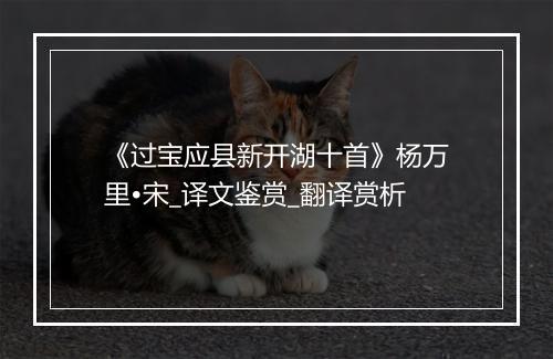 《过宝应县新开湖十首》杨万里•宋_译文鉴赏_翻译赏析