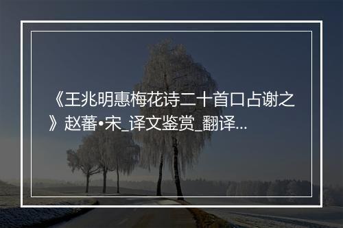 《王兆明惠梅花诗二十首口占谢之》赵蕃•宋_译文鉴赏_翻译赏析