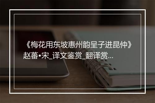 《梅花用东坡惠州韵呈子进昆仲》赵蕃•宋_译文鉴赏_翻译赏析