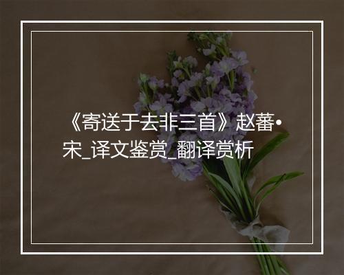 《寄送于去非三首》赵蕃•宋_译文鉴赏_翻译赏析