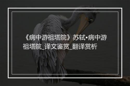 《病中游祖塔院》苏轼•病中游祖塔院_译文鉴赏_翻译赏析