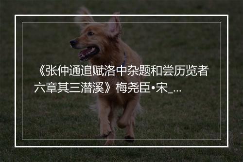 《张仲通追赋洛中杂题和尝历览者六章其三潜溪》梅尧臣•宋_译文鉴赏_翻译赏析