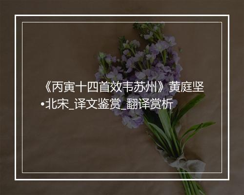 《丙寅十四首效韦苏州》黄庭坚•北宋_译文鉴赏_翻译赏析