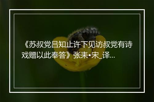 《苏叔党吕知止许下见访叔党有诗戏赠以此奉答》张耒•宋_译文鉴赏_翻译赏析