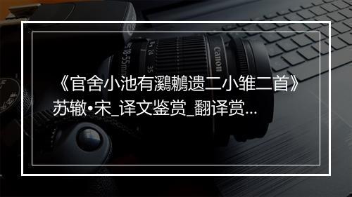 《官舍小池有鸂鶒遗二小雏二首》苏辙•宋_译文鉴赏_翻译赏析