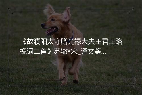 《故濮阳太守赠光禄大夫王君正路挽词二首》苏辙•宋_译文鉴赏_翻译赏析