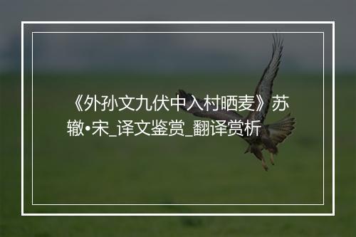 《外孙文九伏中入村晒麦》苏辙•宋_译文鉴赏_翻译赏析