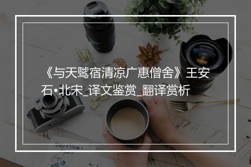 《与天骘宿清凉广惠僧舍》王安石•北宋_译文鉴赏_翻译赏析