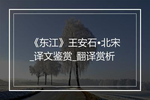 《东江》王安石•北宋_译文鉴赏_翻译赏析