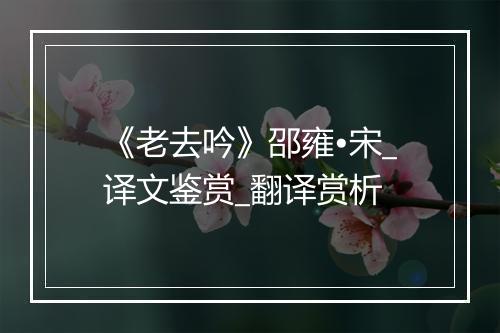 《老去吟》邵雍•宋_译文鉴赏_翻译赏析