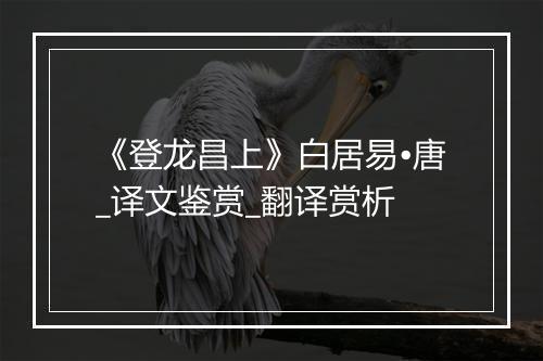 《登龙昌上》白居易•唐_译文鉴赏_翻译赏析